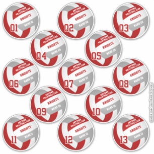 Volleybal teamleden set van 13 Red Grey Sticker