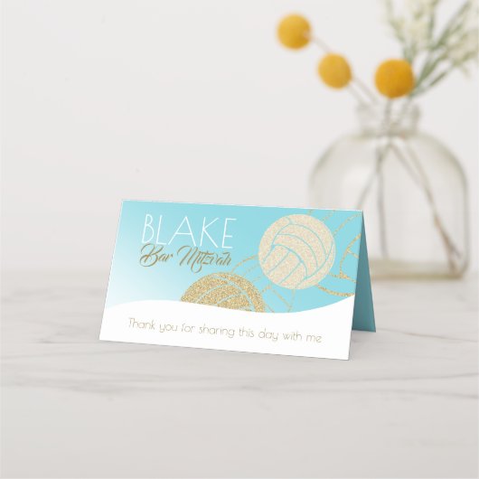 Volleybal Zitplaatsen Kaart Plaatskaartje (Achterkant)