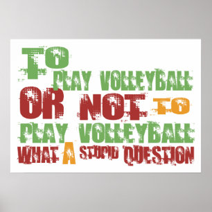 Volleyball afspelen poster