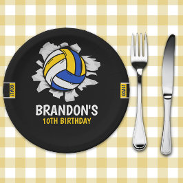 Volleyball Birthday Plates | Blue and Yellow Sport Papieren Bordje