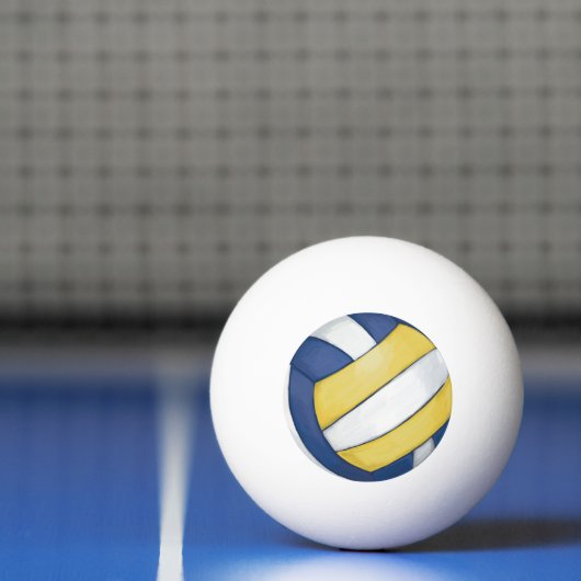Volleyball Pingpongbal (Net)