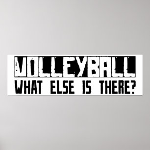 Volleyball wat er nog meer is? poster