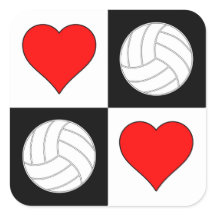 Volleyballen & Gecheckte Sporten van het Patroon v