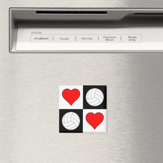 Volleyballen & het Decoratieve Magnet van het Patr (Insitu (Vaatwasser))