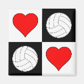 Volleyballen & het Decoratieve Magnet van het Patr (Voorkant)