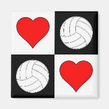 Volleyballen & het Decoratieve Magnet van het Patr
