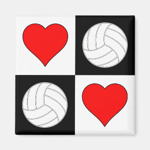 Volleyballen & het Decoratieve Magnet van het Patr