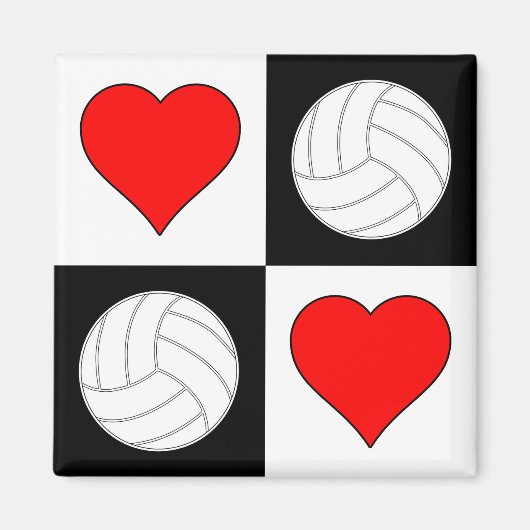 Volleyballen & het Decoratieve Magnet van het Patr (Voorkant)
