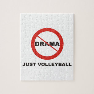 Volleybalpuzzel Legpuzzel