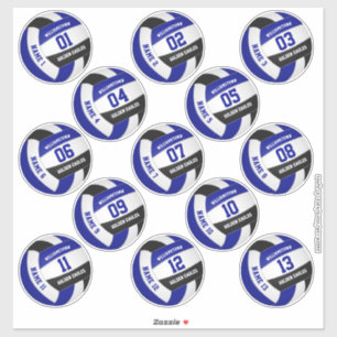 volleybalspelers noemen blauwe zwarte set van 13 sticker