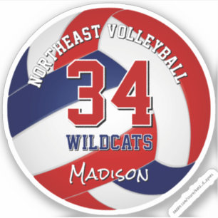 Volleybalteam kleuren kinder rood blauw sticker