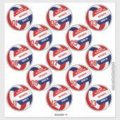 Volleybalteam leden rood blauw set van 13 sticker (Vel)