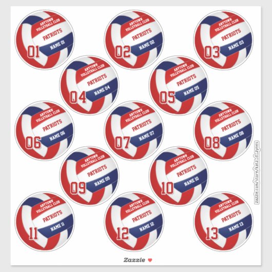 Volleybalteam leden rood blauw set van 13 sticker (Vel)