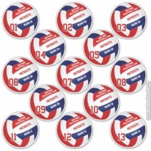 Volleybalteam leden rood blauw set van 13 sticker