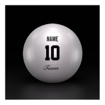 Volleybalteam