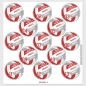 volleybalteamleden set van 13 roodgrijs sticker (Vel)