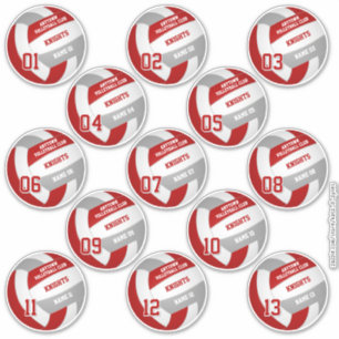 volleybalteamleden set van 13 roodgrijs sticker