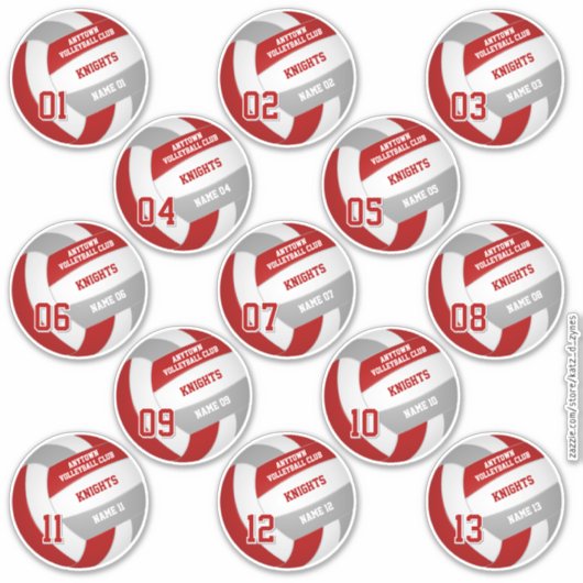 volleybalteamleden set van 13 roodgrijs sticker (Voorkant)