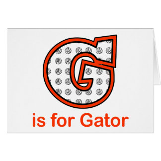 VolleyChick G is voor Gator