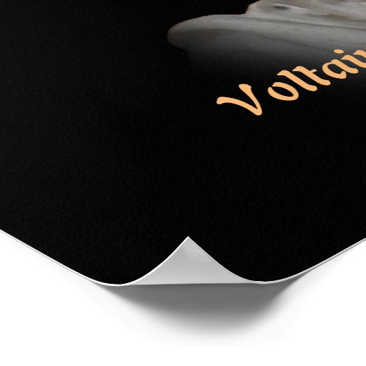 Voltaire citaat over onlusten en wreedheden poster (Hoek)