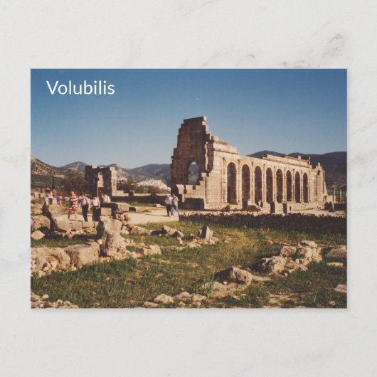 Volubilis - Marokko Briefkaart (Voorkant)