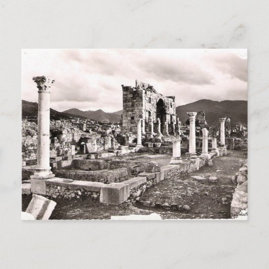 Volubilus Briefkaart (Voorkant)