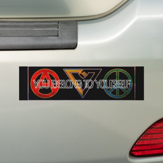 Voluntarisme Bumpersticker (Op auto)