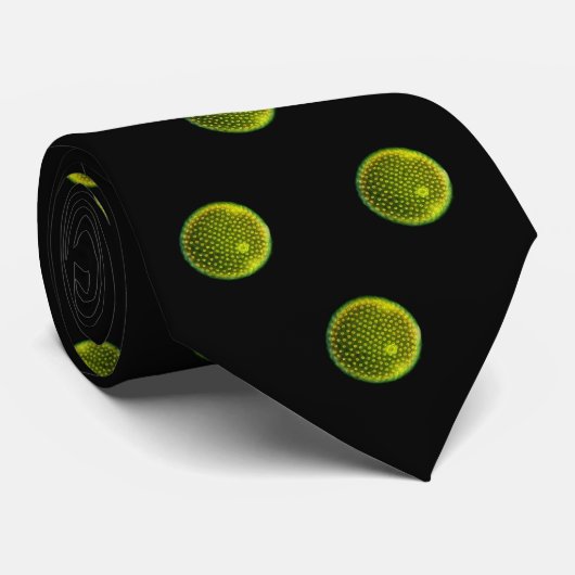 Volvox Stropdas (Opgerold)