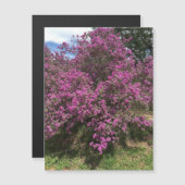 volwaardige rebellenmagneet (Voorkant / Achterkant)