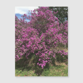 volwaardige rebellenmagneet