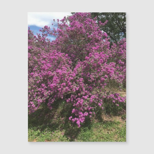 volwaardige rebellenmagneet (Voorkant)