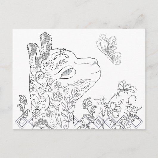 Volwassen Briefkaarten voor het kleuren van alpaca (Voorkant)