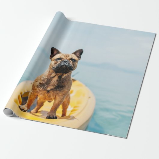 Volwassen bruine Franse bulldog op kayak Cadeaupapier (Uitgerold)