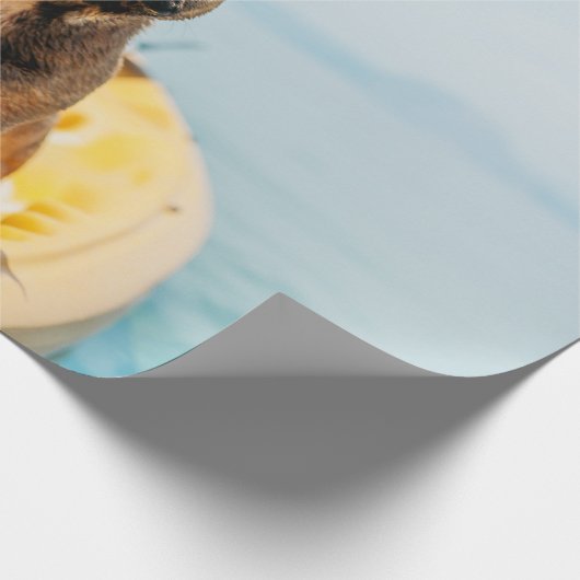 Volwassen bruine Franse bulldog op kayak Cadeaupapier (Hoek)