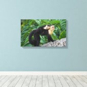 Volwassen capuchin-aap die Baby op de rug draagt Canvas Afdruk (Insitu (Houten vloer))
