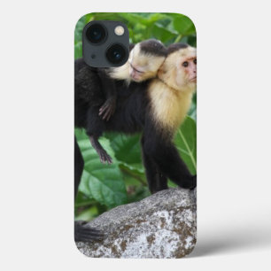 Volwassen capuchin-aap die Baby op de rug draagt iPhone 13 Hoesje
