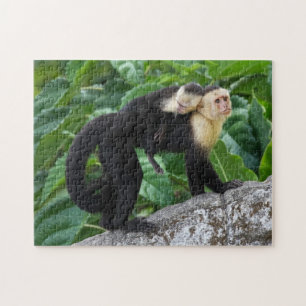 Volwassen capuchin-aap die Baby op de rug draagt Legpuzzel