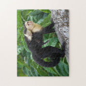 Volwassen capuchin-aap die Baby op de rug draagt Legpuzzel (Verticaal)