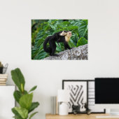 Volwassen capuchin-aap die Baby op de rug draagt Poster (Thuiskantoor)