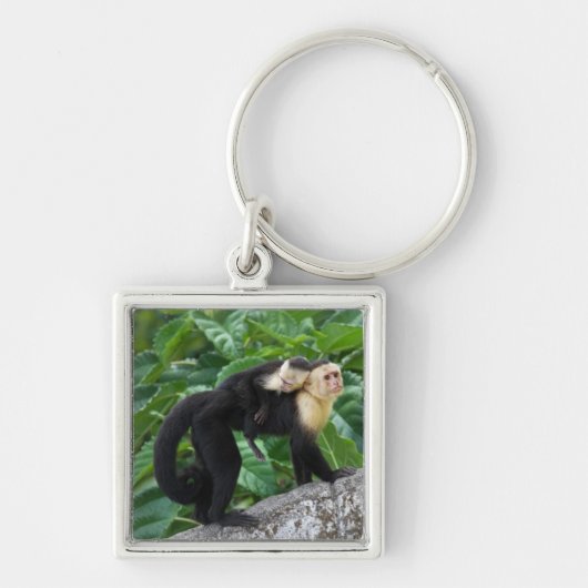 Volwassen capuchin-aap die Baby op de rug draagt Sleutelhanger (Voorkant)