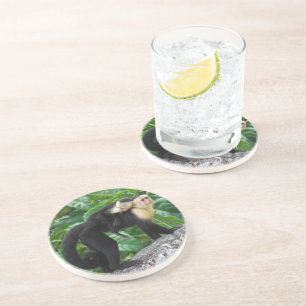 Volwassen capuchin-aap die Baby op de rug draagt Zandsteen Onderzetter