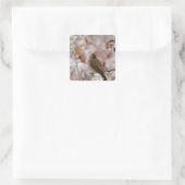 Volwassen Cedar Waxwing op doorn met sneeuw Vierkante Sticker (Tas)