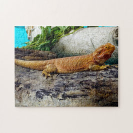 Volwassen dradendrager legpuzzel