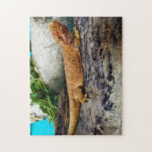 Volwassen dradendrager legpuzzel (Verticaal)