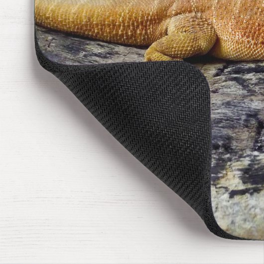 Volwassen dradendrager muismat (Hoek)