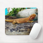 Volwassen dradendrager muismat (Met muis)