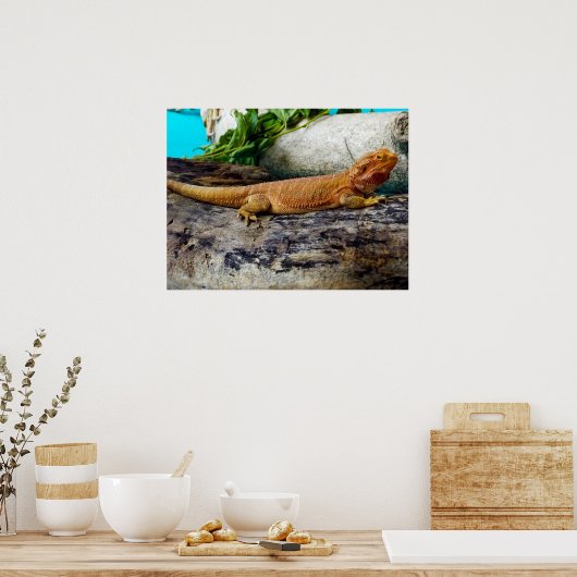 Volwassen dradendrager poster (Keuken)