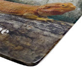 Volwassen dradendrager snijplank (Hoek)