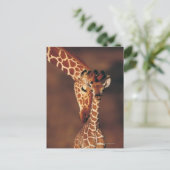 Volwassen Giraffe met kalf (Giraffa camelopardalis Briefkaart (Staand voorkant)
