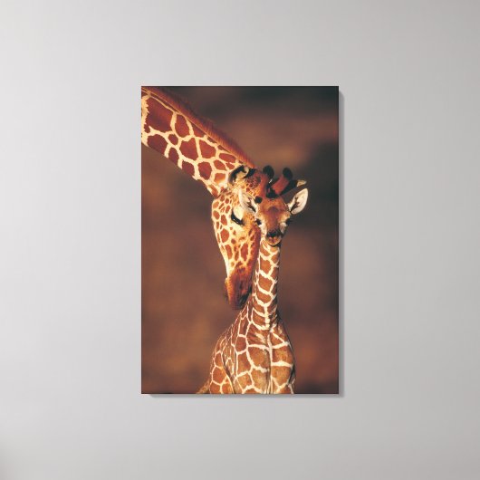 Volwassen Giraffe met kalf (Giraffa camelopardalis Canvas Afdruk (Voorkant)